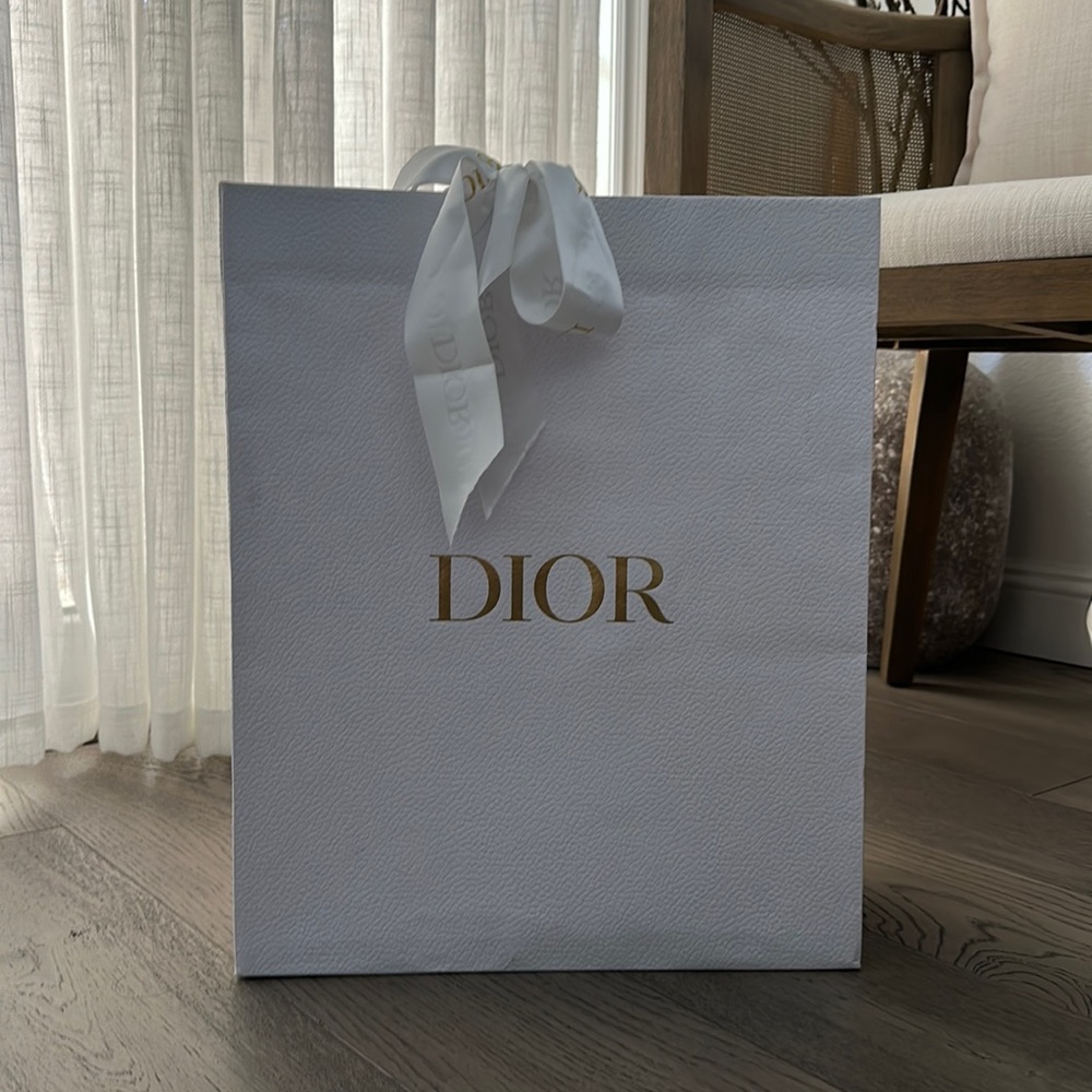 Empty Dior Shopping Bag with Dior Ribbon